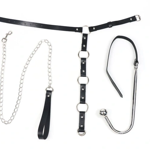 Anal Hooks 5853 Kinky Hook Anal with Leash and EverydayUse Collar 0723